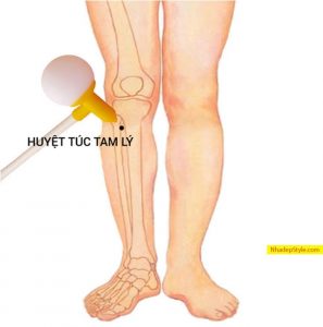 bam-huyet-2