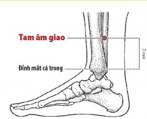 bam-huyet-3